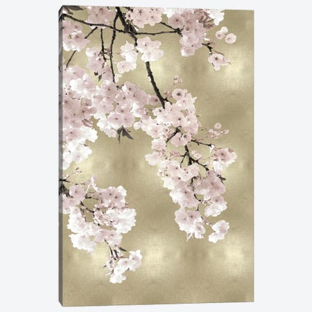 Pink Blossoms on Gold I Canvas Print #KAB50} by Kate Bennett Canvas Art