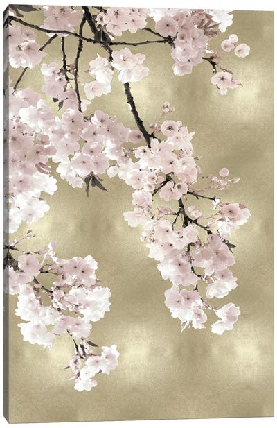 Pink Blossoms on Gold I Canvas Art Print