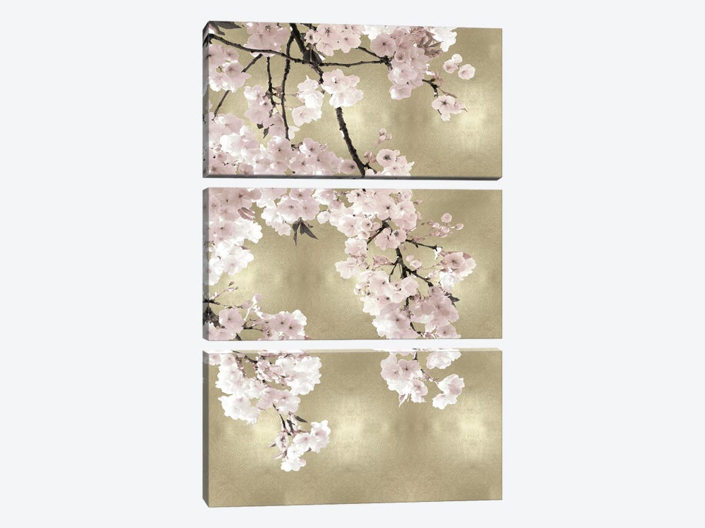 Pink Blossoms on Gold I by Kate Bennett 3-piece Canvas Wall Art