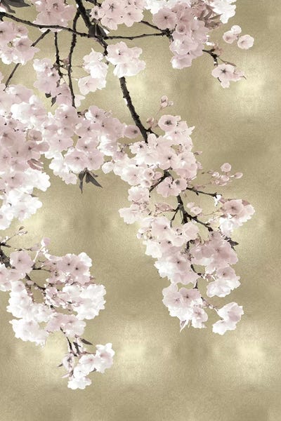 Kate Bennett: Pink Blossoms on Gold I by Kate Bennett