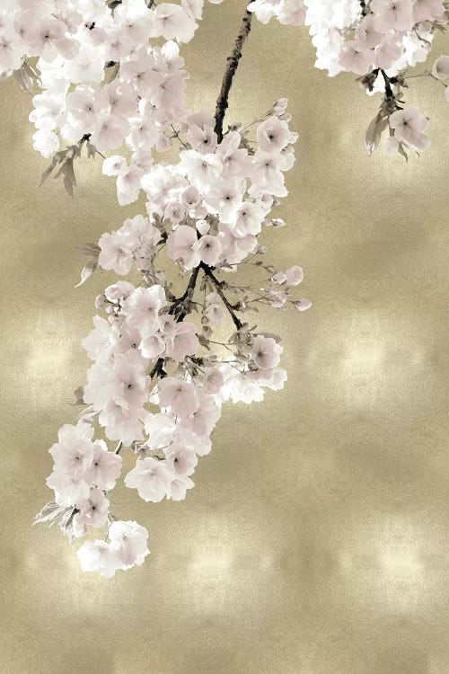 Pink Blossoms on Gold II