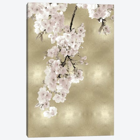 Pink Blossoms on Gold II Canvas Print #KAB51} by Kate Bennett Canvas Artwork
