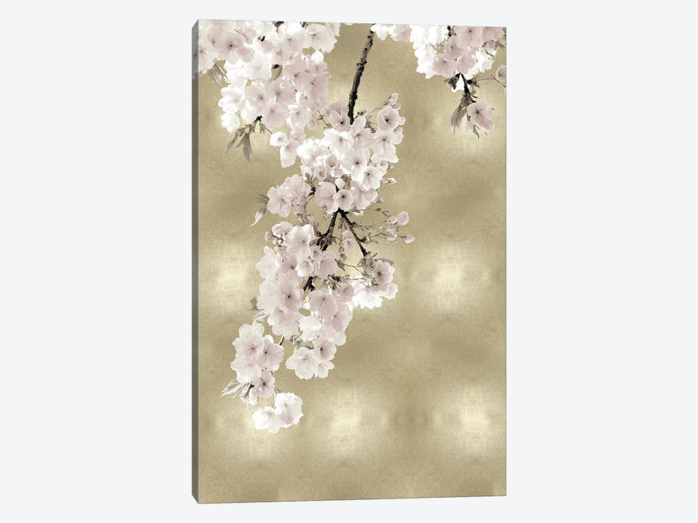 Pink Blossoms on Gold II by Kate Bennett 1-piece Canvas Art Print