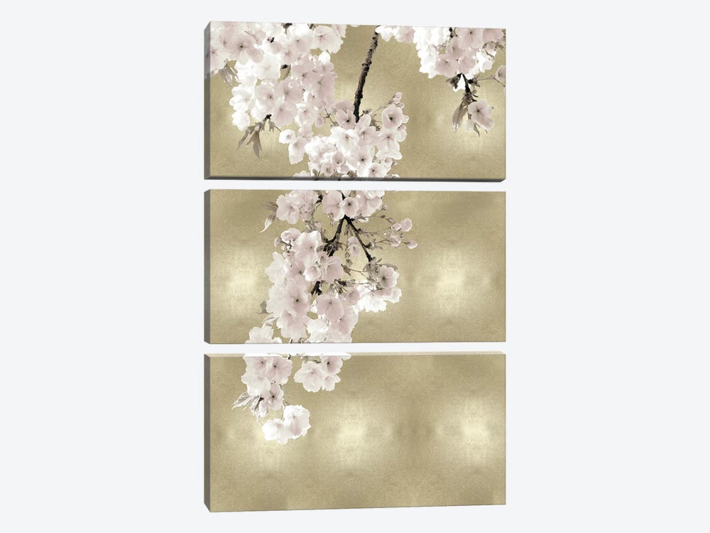 Pink Blossoms on Gold II by Kate Bennett 3-piece Art Print