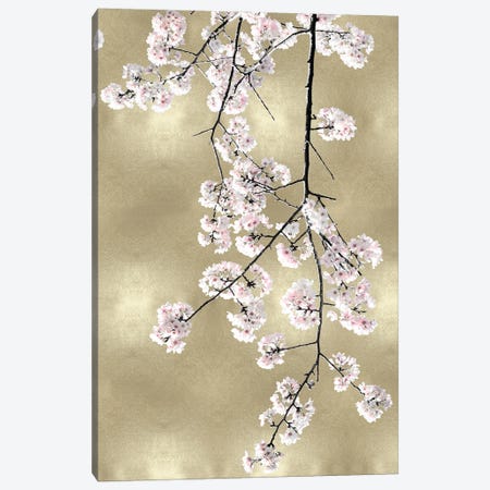 Pink Blossoms on Gold III Canvas Print #KAB52} by Kate Bennett Canvas Artwork