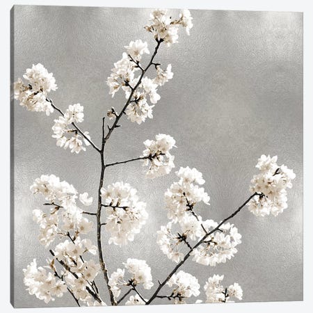Silver Blossoms I Canvas Print #KAB53} by Kate Bennett Canvas Wall Art