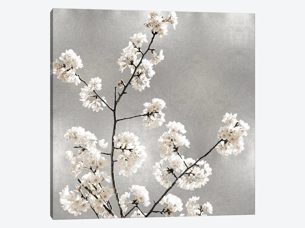 Silver Blossoms I by Kate Bennett 1-piece Canvas Art Print