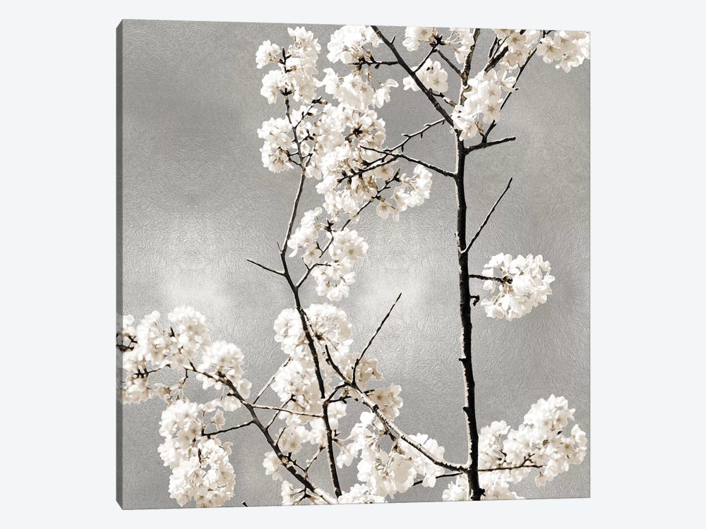 Silver Blossoms II by Kate Bennett 1-piece Canvas Artwork