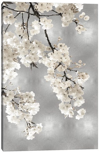 White Blossoms on Silver I Canvas Art Print - Zen Décor