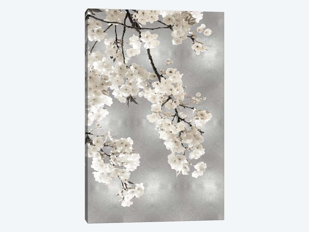 White Blossoms on Silver I by Kate Bennett 1-piece Canvas Art Print