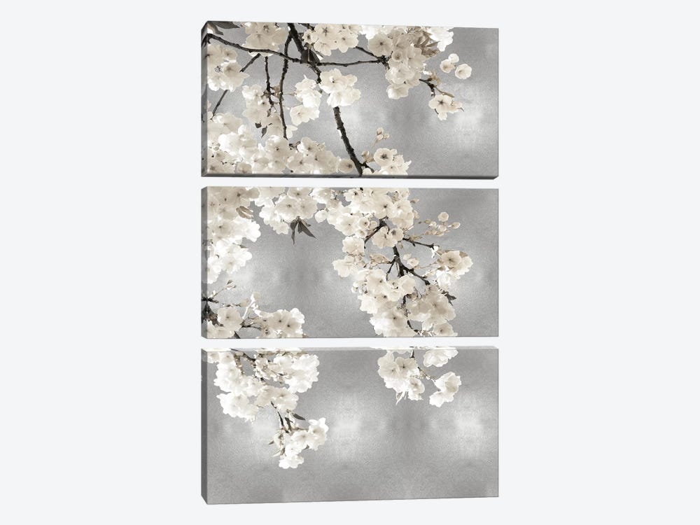 White Blossoms on Silver I by Kate Bennett 3-piece Canvas Art Print