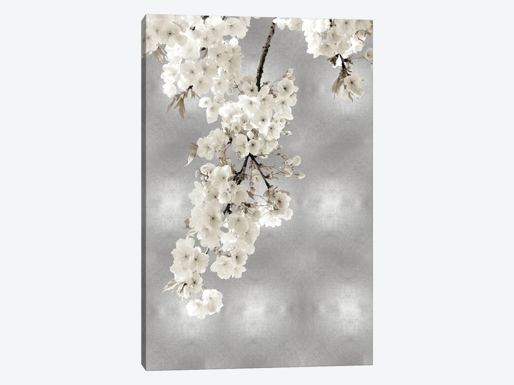 White Blossoms on Silver II by Kate Bennett 1-piece Canvas Artwork