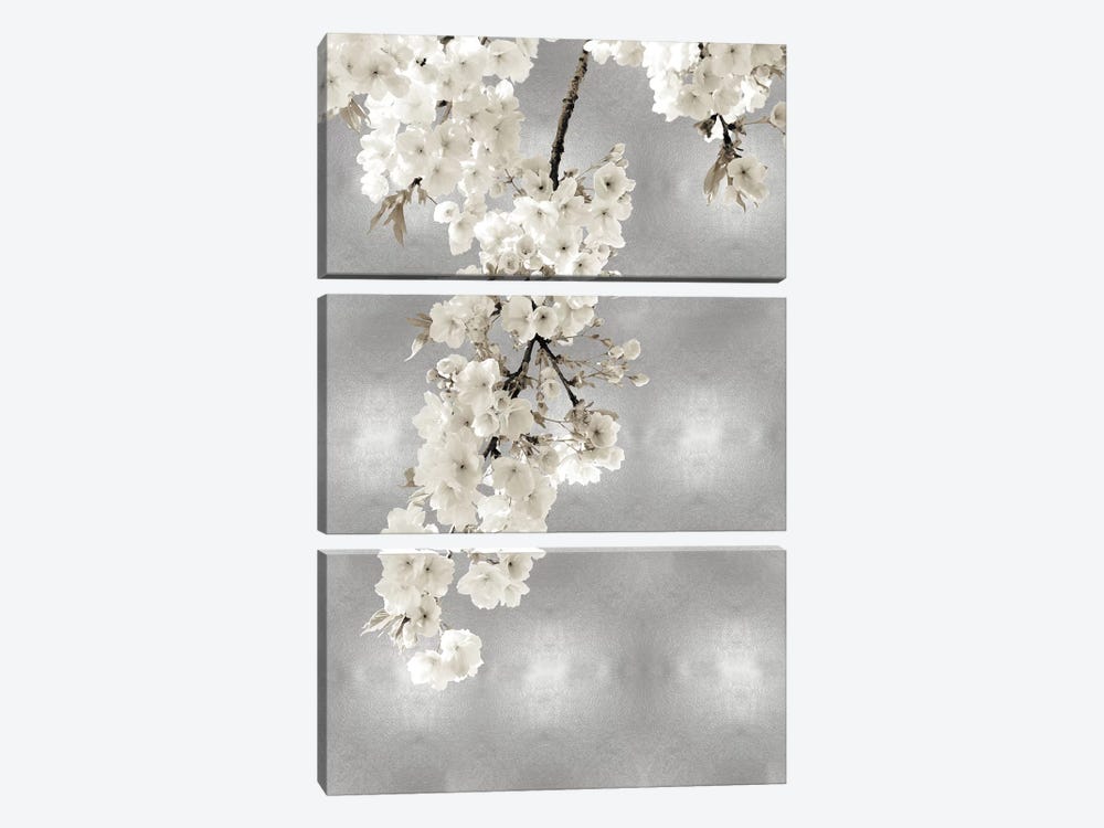 White Blossoms on Silver II by Kate Bennett 3-piece Canvas Art
