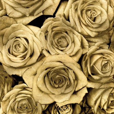 Premium Photo  Golden metallic roses, bouquet of roses covered with gold  close up on black background for printing