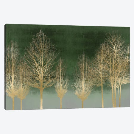 Gold Forest On Green Canvas Print #KAB63} by Kate Bennett Canvas Art Print