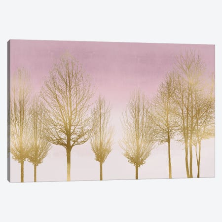 Gold Forest On Pink Canvas Print #KAB64} by Kate Bennett Canvas Art