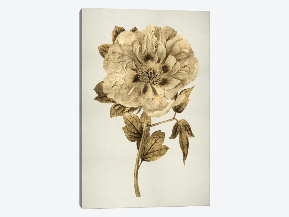 Gold Tulip I by Kate Bennett 1-piece Art Print