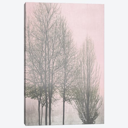 Gray Trees On Pink Panel I Canvas Print #KAB81} by Kate Bennett Canvas Art Print
