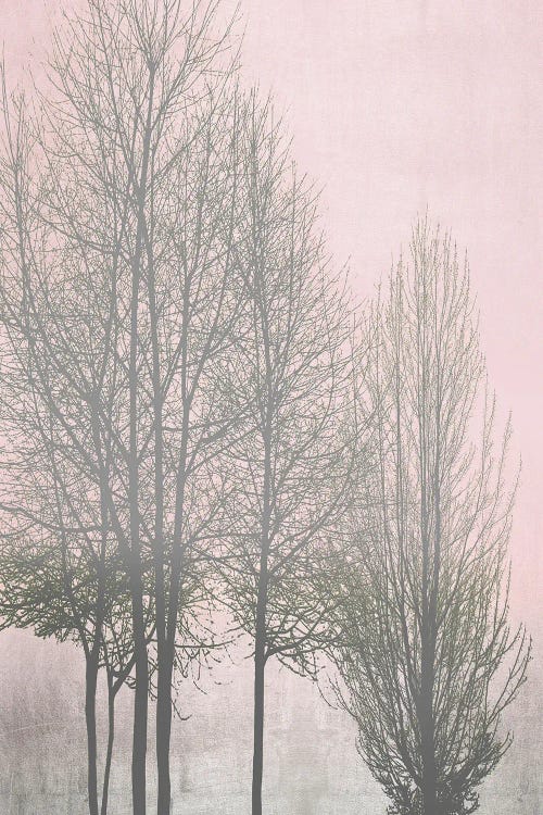 Gray Trees On Pink Panel I