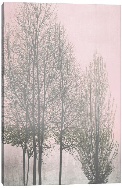 Gray Trees On Pink Panel I Canvas Art Print - Kate Bennett