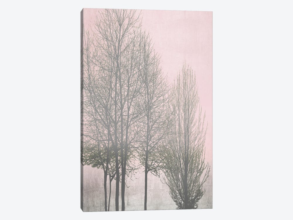 Gray Trees On Pink Panel I by Kate Bennett 1-piece Canvas Artwork