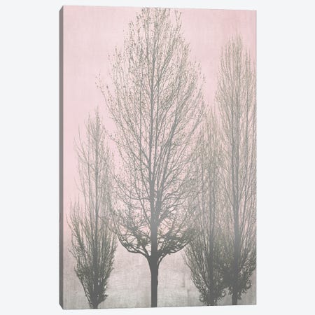 Gray Trees On Pink Panel II Canvas Print #KAB82} by Kate Bennett Canvas Art Print