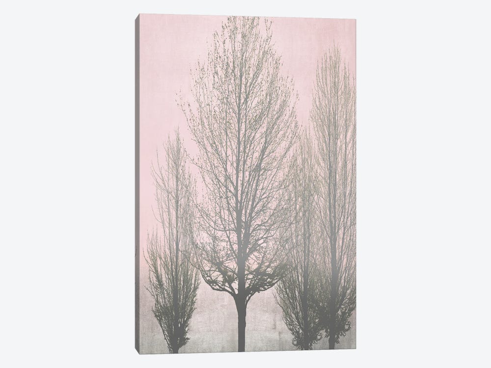 Gray Trees On Pink Panel II by Kate Bennett 1-piece Canvas Art Print