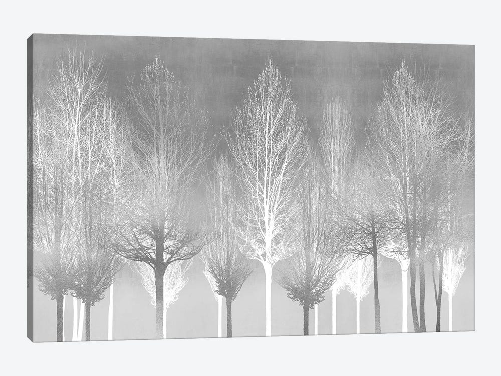 Silver Trees by Kate Bennett 1-piece Canvas Wall Art