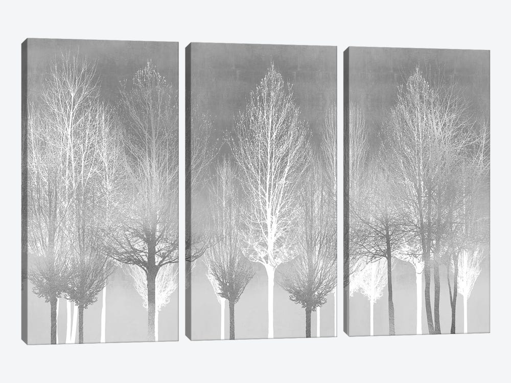 Silver Trees by Kate Bennett 3-piece Canvas Artwork