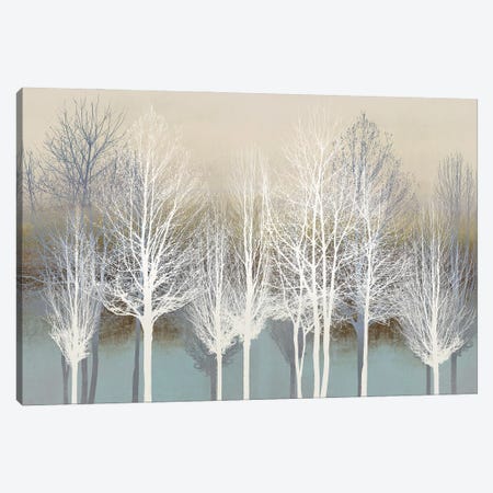 Trees On Aqua Canvas Print #KAB84} by Kate Bennett Canvas Art