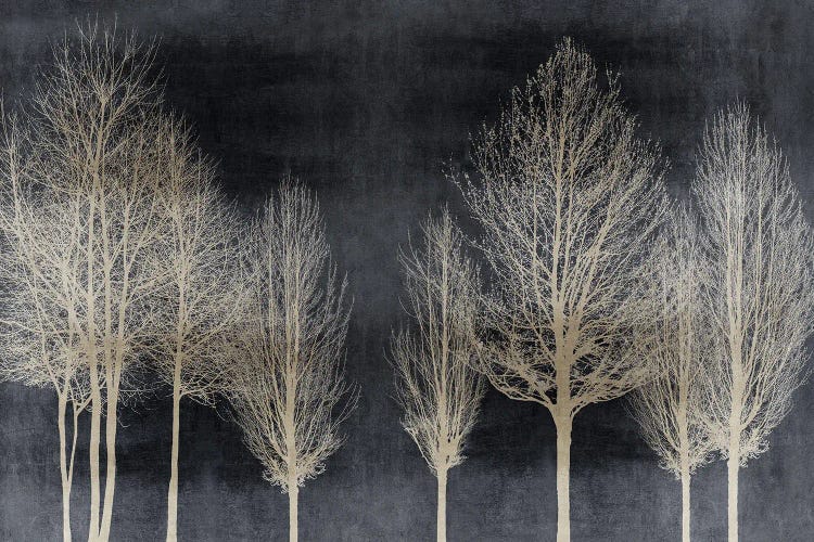 Trees On Dark Gray