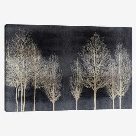 Trees On Dark Gray Canvas Print #KAB89} by Kate Bennett Canvas Art Print