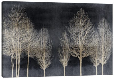Trees On Dark Gray Canvas Art Print - Transitional Décor
