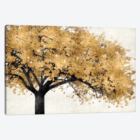 Golden Blossoms Canvas Print #KAB8} by Kate Bennett Art Print