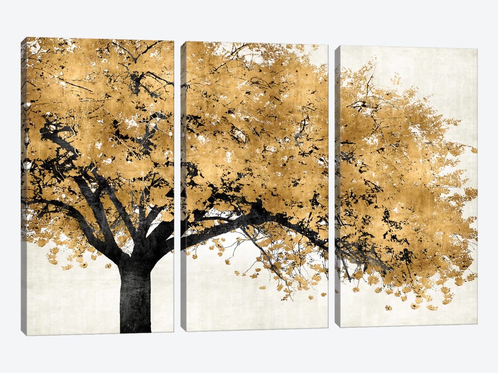 Golden Blossoms by Kate Bennett 3-piece Canvas Print