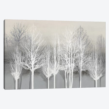 Trees On Gray Canvas Print #KAB92} by Kate Bennett Canvas Wall Art