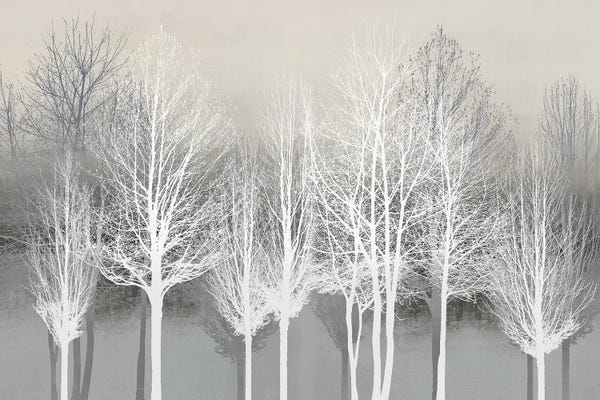 Kate Bennett: Trees On Gray by Kate Bennett