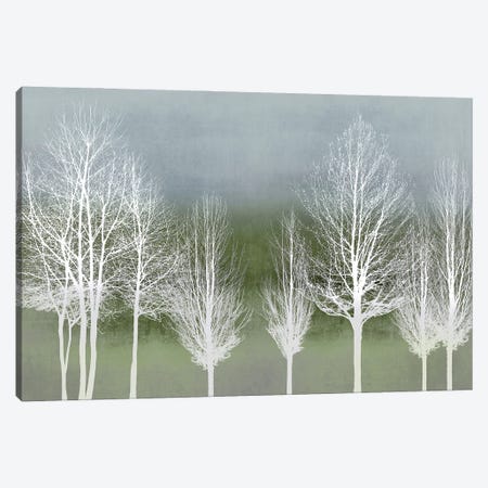 Trees On Green Canvas Print #KAB93} by Kate Bennett Canvas Artwork