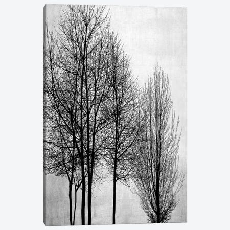 Trees On Silver Panel I Canvas Print #KAB96} by Kate Bennett Art Print