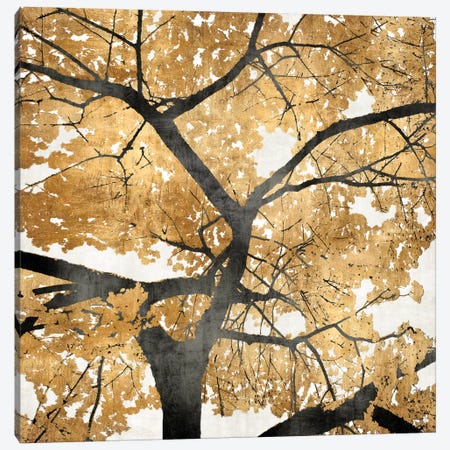 Golden Leaves Canvas Print #KAB9} by Kate Bennett Canvas Art Print