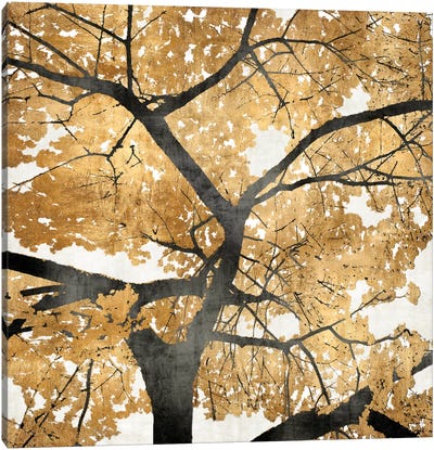 Golden Leaves Canvas Art Print - Tree Close-Up Art