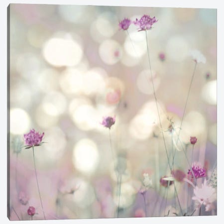 Floral Meadow I Canvas Print #KAC13} by Kate Carrigan Canvas Print