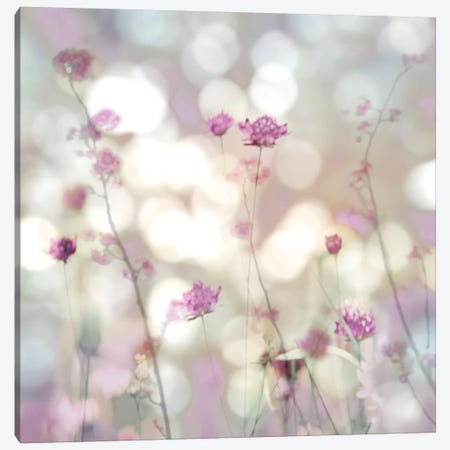 Floral Meadow II Canvas Print #KAC14} by Kate Carrigan Canvas Art