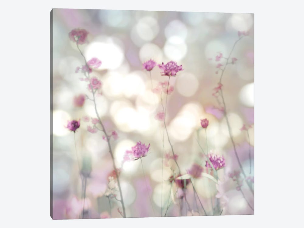 Floral Meadow II by Kate Carrigan 1-piece Canvas Print