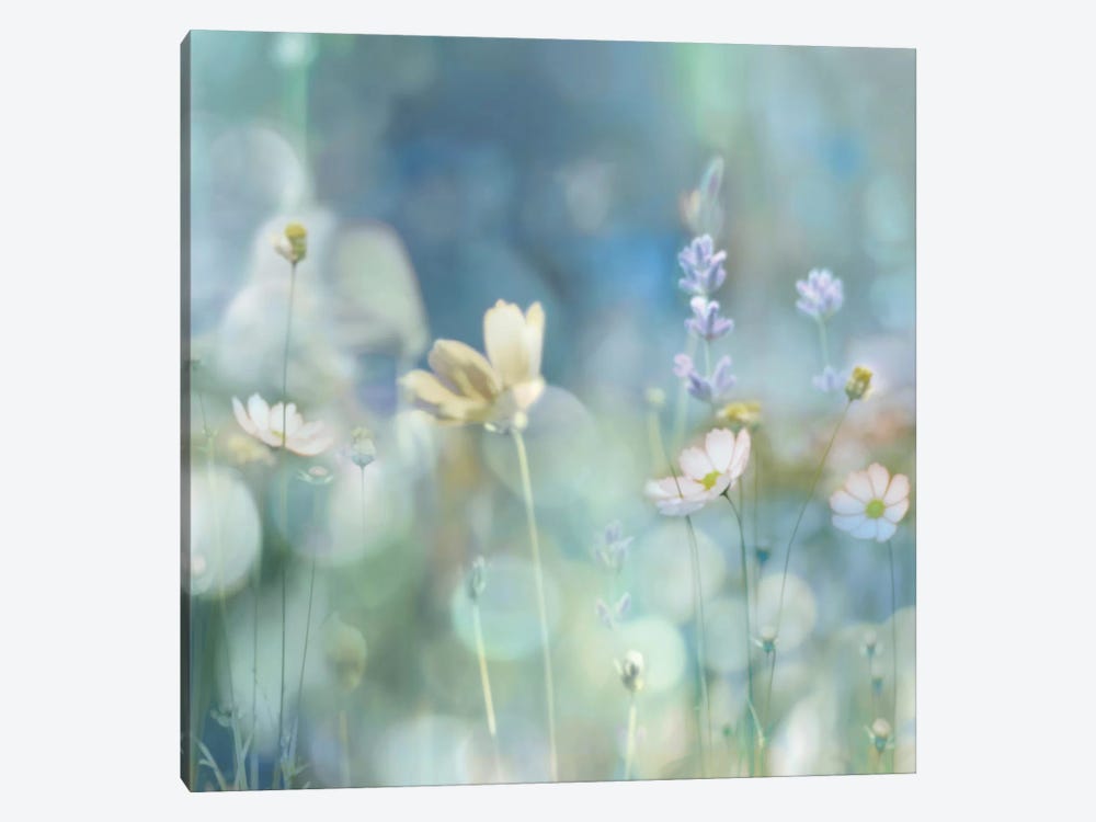 Morning Meadow II by Kate Carrigan 1-piece Canvas Print
