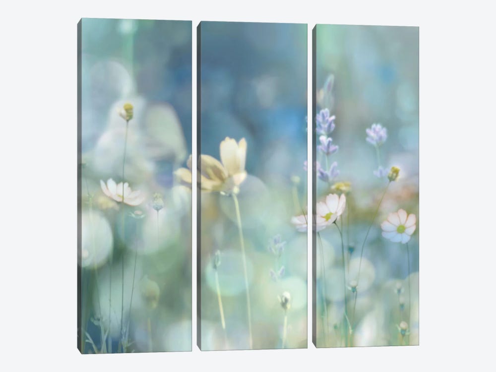 Morning Meadow II by Kate Carrigan 3-piece Canvas Art Print