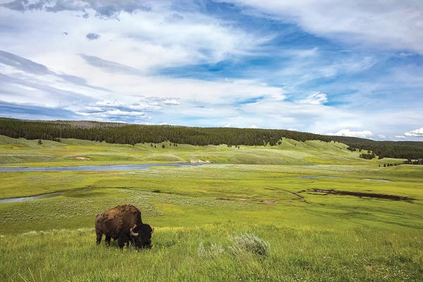 Wide Open Spaces: Loan Wanderer by Sarah Kadlecek