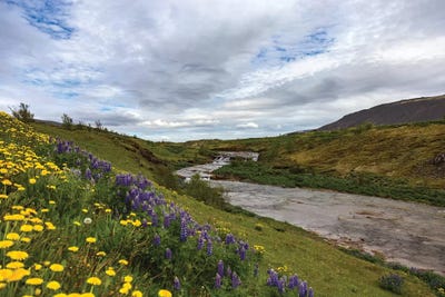 Midnight In Iceland by Sarah Kadlecek framed wall art