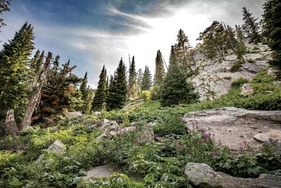 Montana Moment by Sarah Kadlecek framed wall art