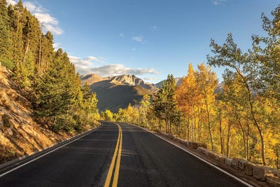 Road Home by Sarah Kadlecek framed wall art